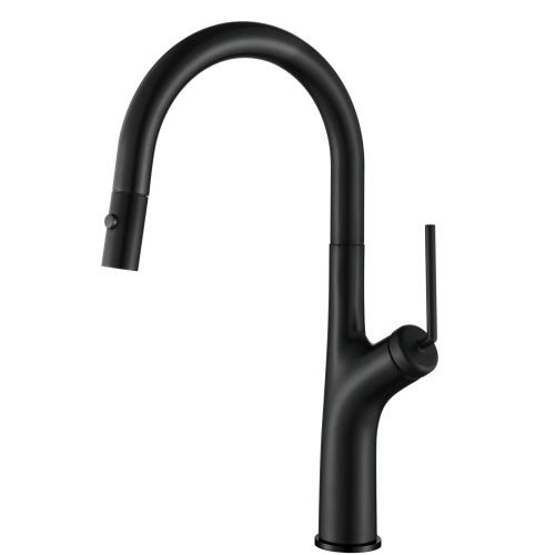Black Pull-Out Kitchen Mixer